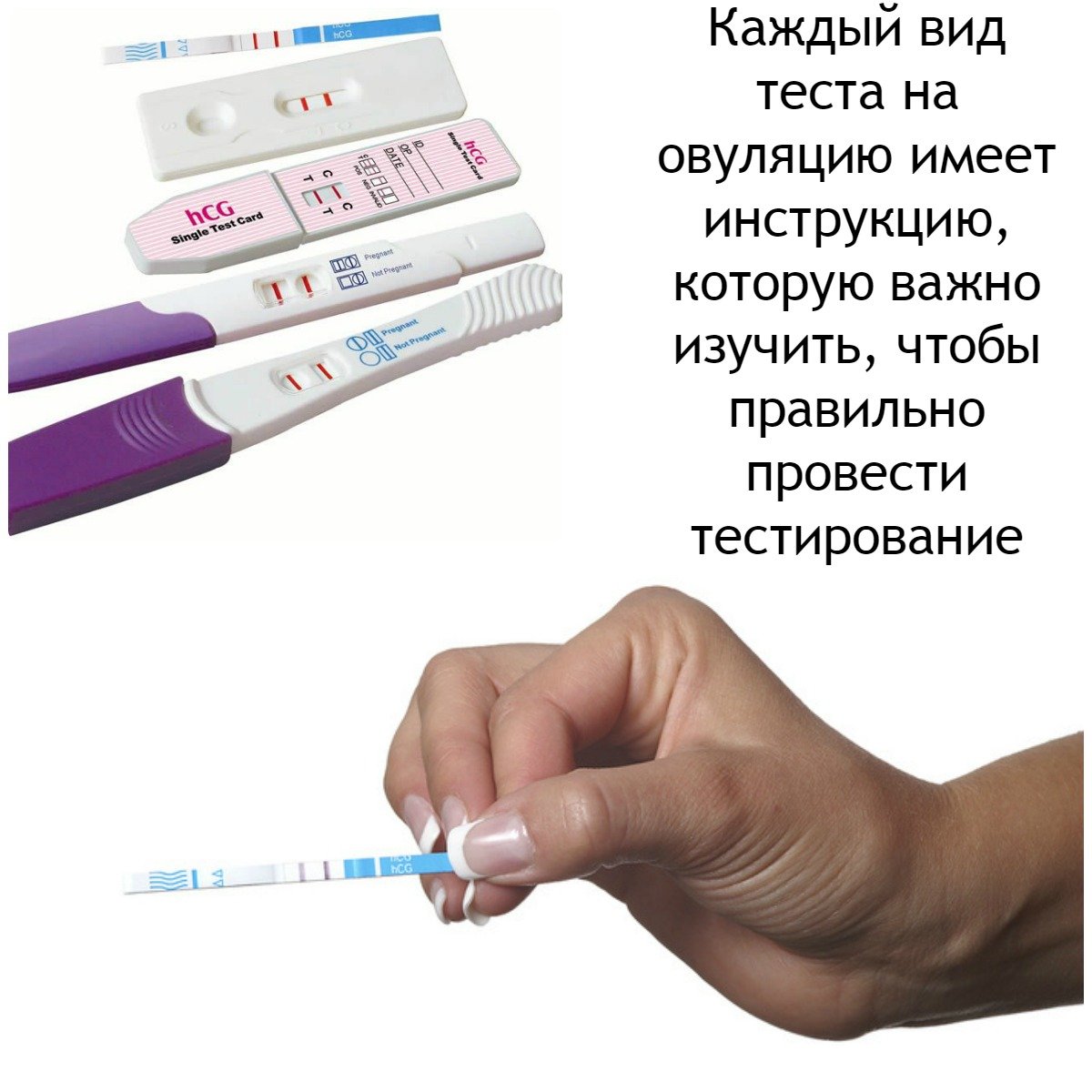 каждый вид теста на овуляцию имеет инструкцию, которуюю важно изучить, чтобы правильно провести тестирование