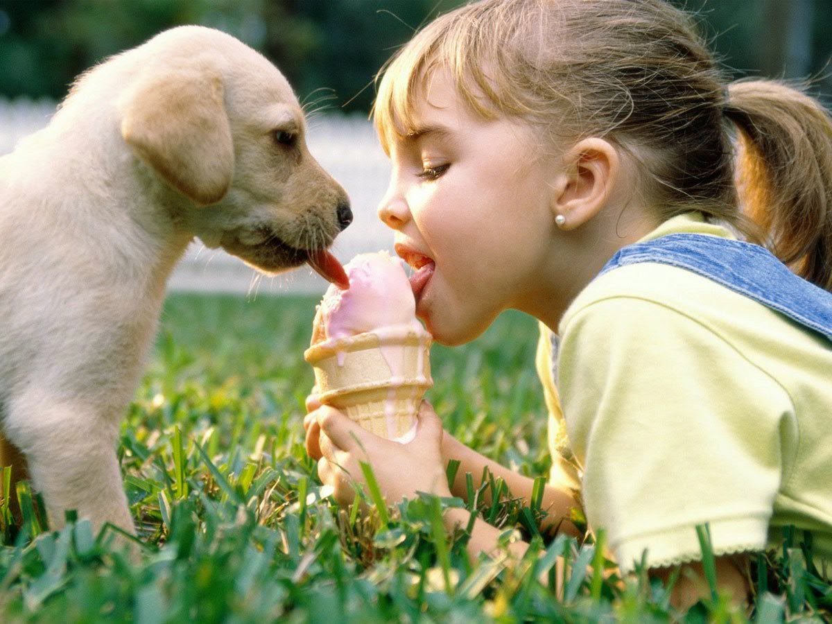 девочка с собакой кушает мороженое, негативные стороны мороженого