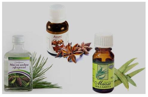 Масла растений