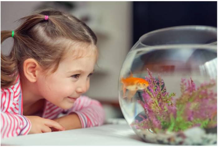 Мамы близнецы