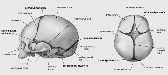 Роднички у младенца
