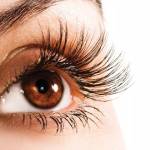 касторовое ресниц