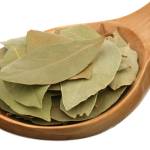 лавровый лист