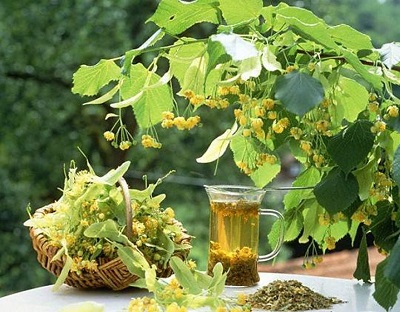 Липовый чай