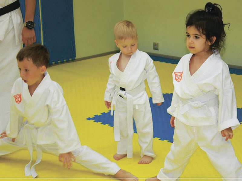 Малыши дошкольного возраста на тренировке по карате