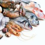 морепродукты