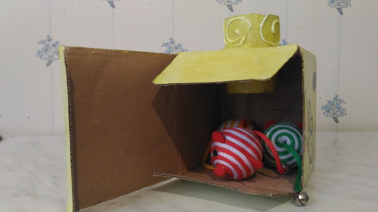 Мыши в коробке