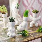 Набор для выращивания