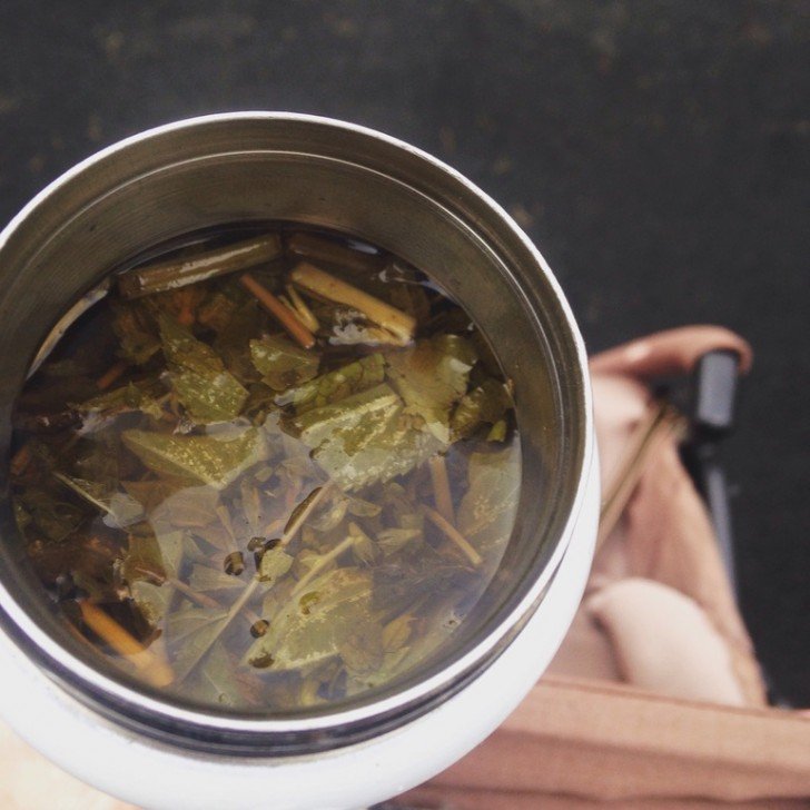 настой мелиссы