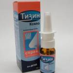 Тизин Ксило