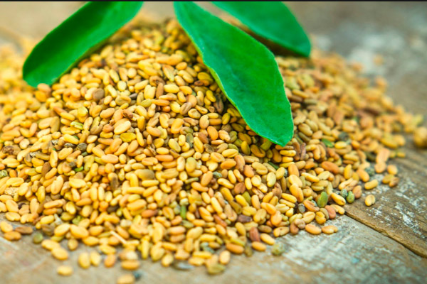 Семена пажитника