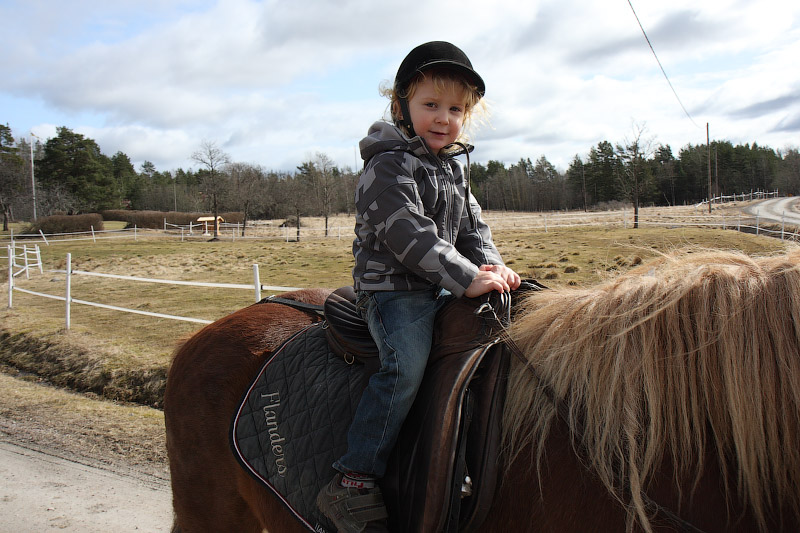 Мальчик на лошади