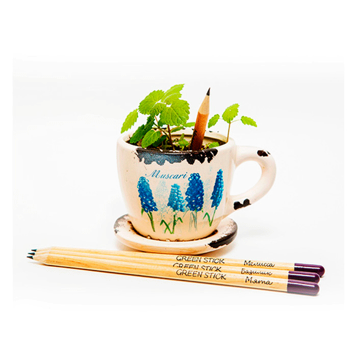 Растущий карандаш