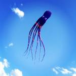 Воздушный змей