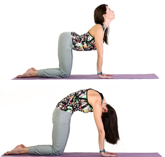 упражнение «Кошка»