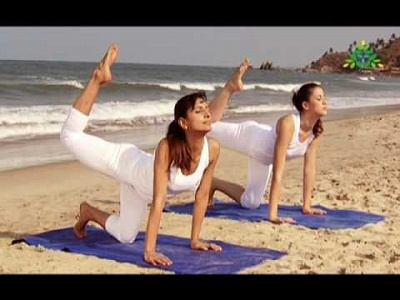 Вьяграсана