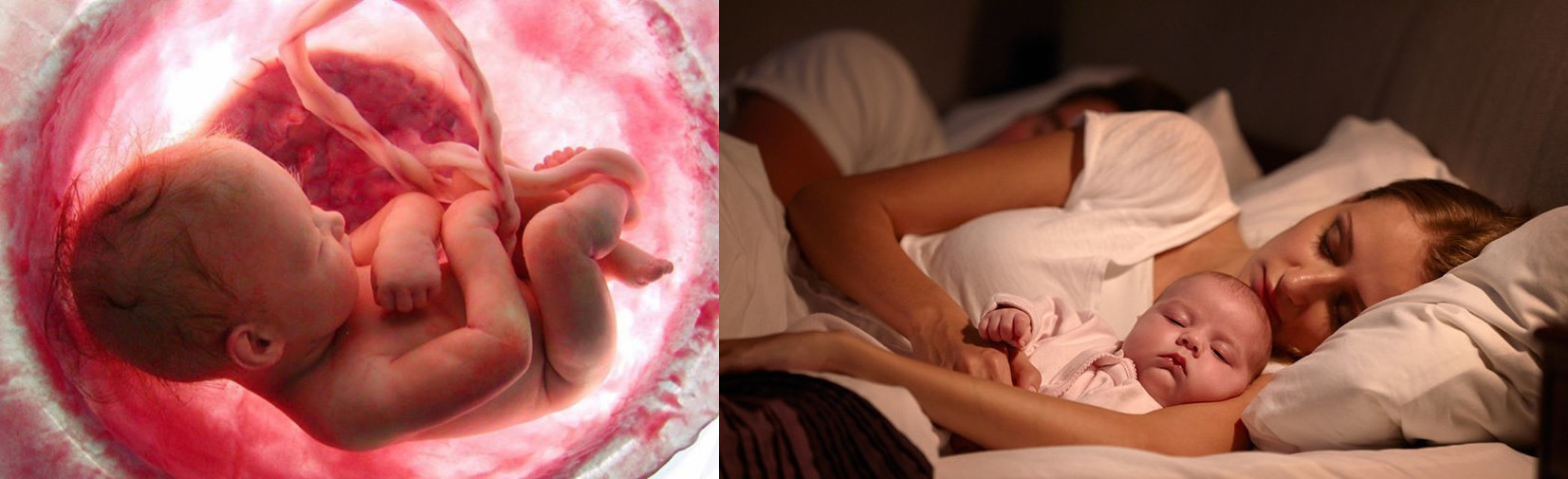 Плод в материнской утробе; мама обнимает младенца во сне