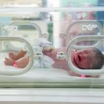 Недоношенный ребёнок