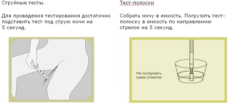 Как правильно делать тест на беременность