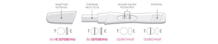 Оценка результата теста для струйных тестов на беременность