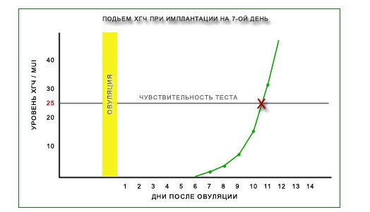 Изменение уровня ХГЧ в моче