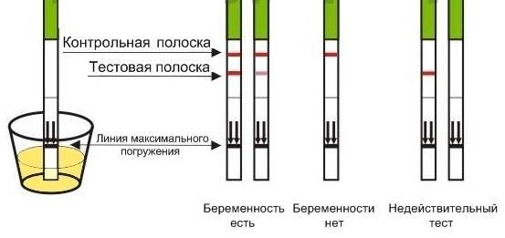 Как использовать стрип-тесты