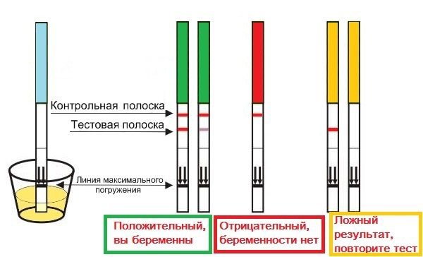 Оценка результата теста на беременность при использовании тест-полосок