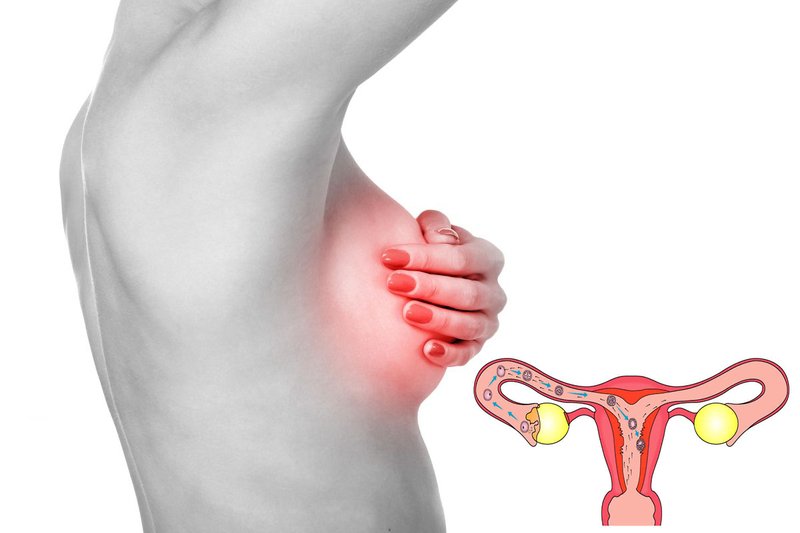 Боль в груди при овуляции