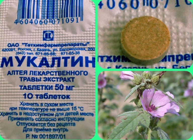 лекарственное растение алтей, упаковка и таблетка мукалтина