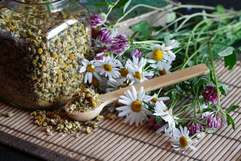 травы на столе