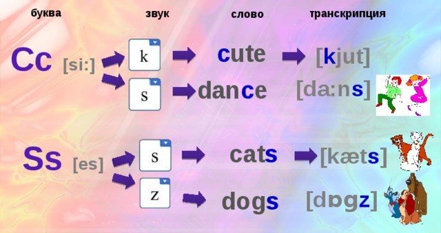 Варианты звукового соответствия букв C и S в агнлийском языке