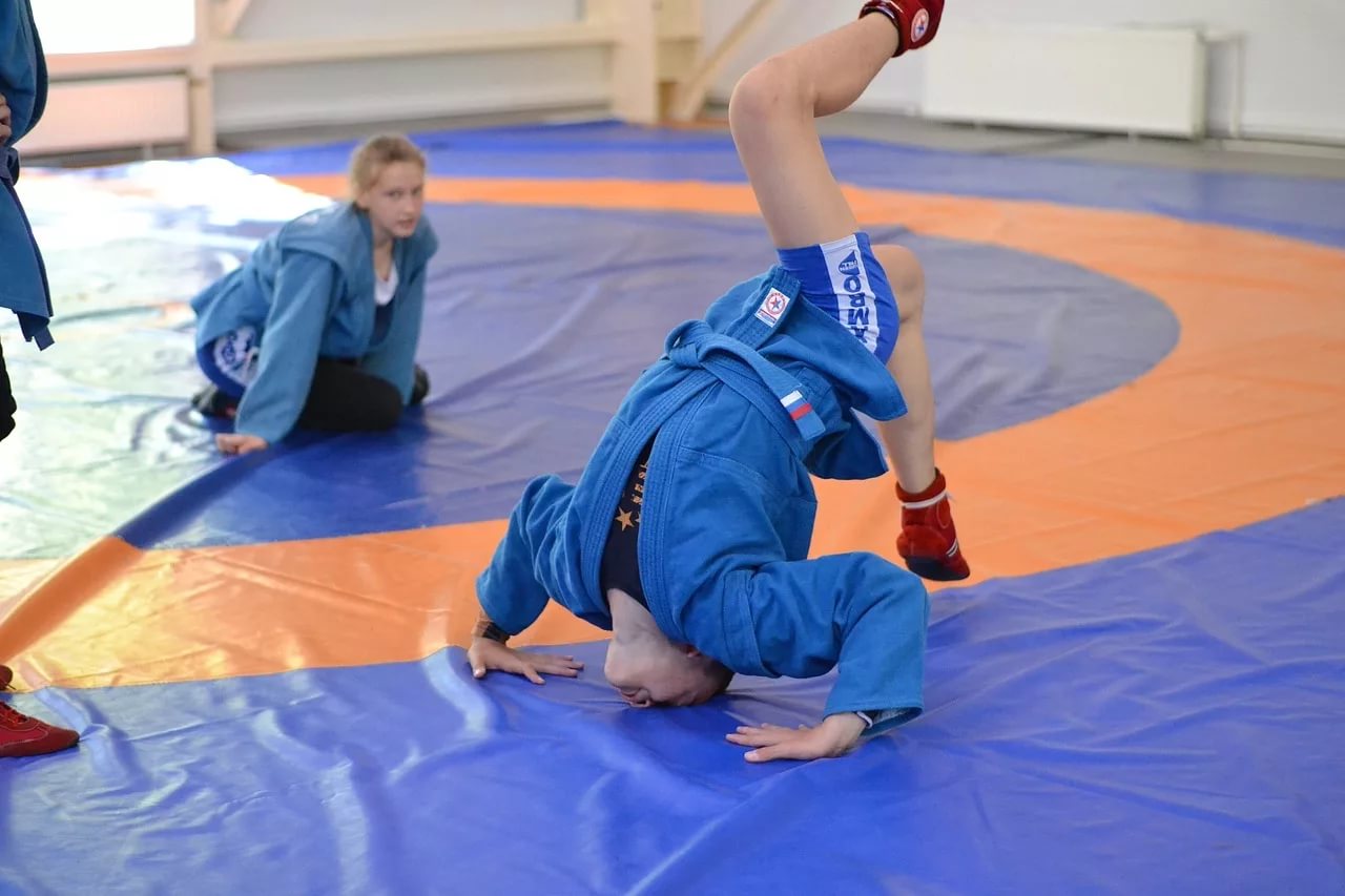 Стойка в самбо