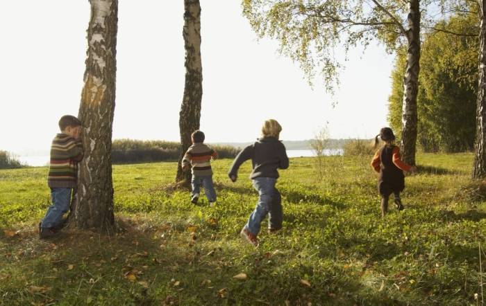 Дети играют в лесу в прятки