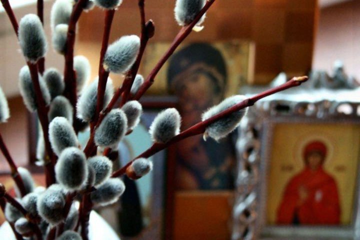 Ветки вербы на фоне икон