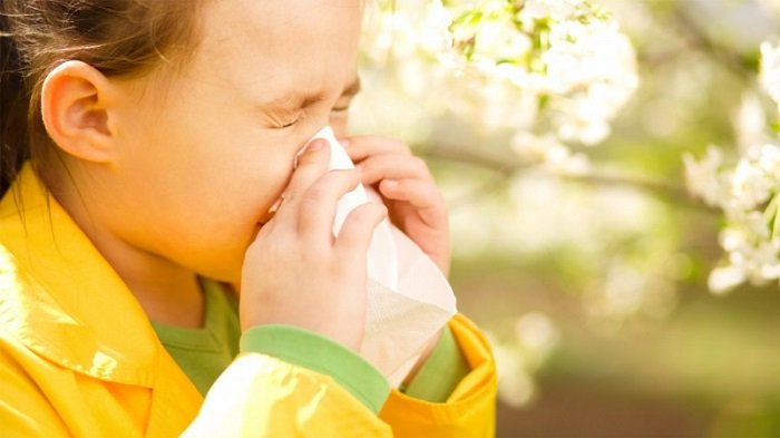 Девочка чихает в салфетку, рядом цветущие ветви дерева