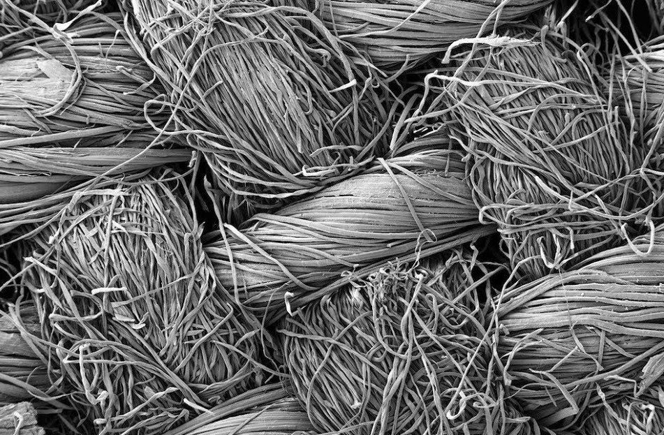 Хлопковое полотно под микроскопом