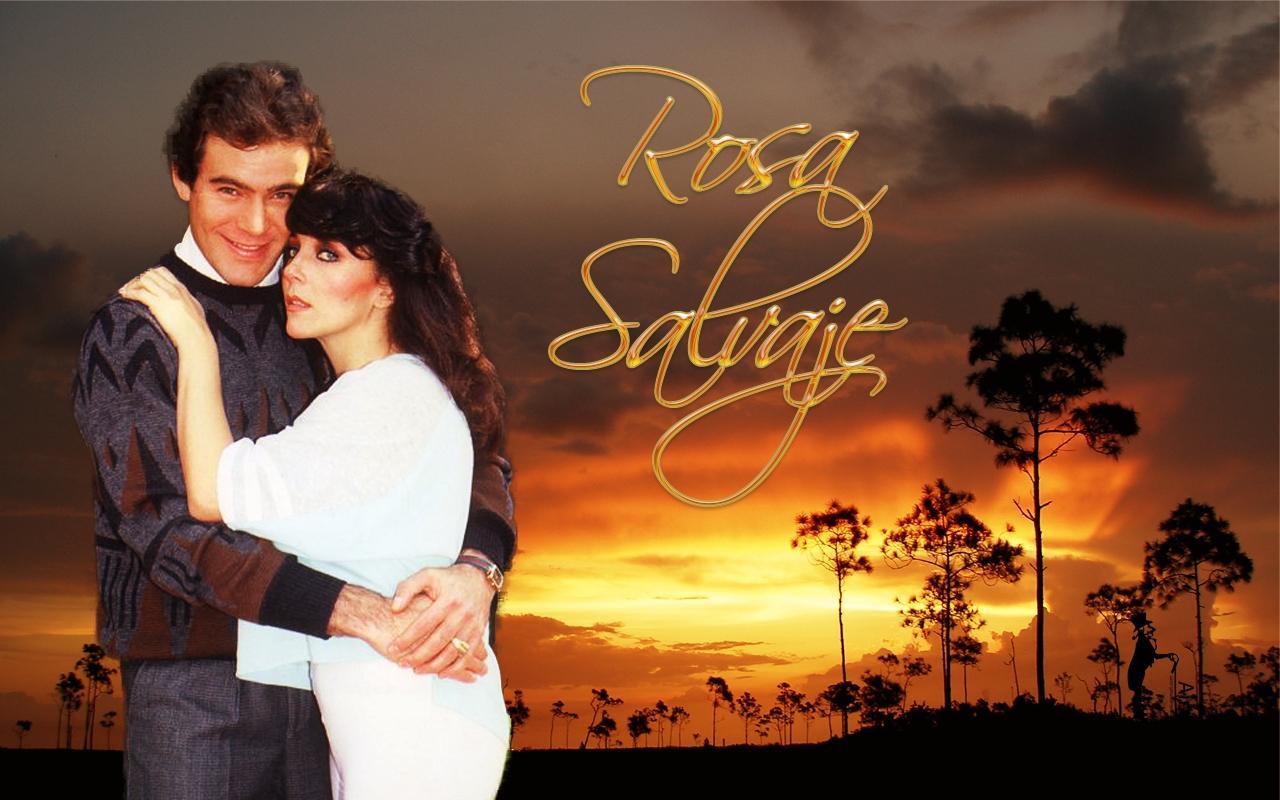 Постер сериала «Дикая Роза»