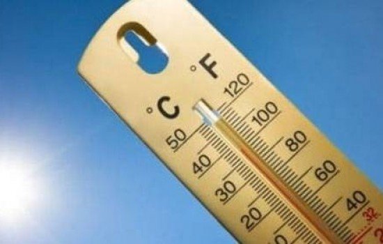 Термометр показывает +37 °С