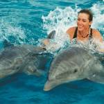 Купание с дельфинами