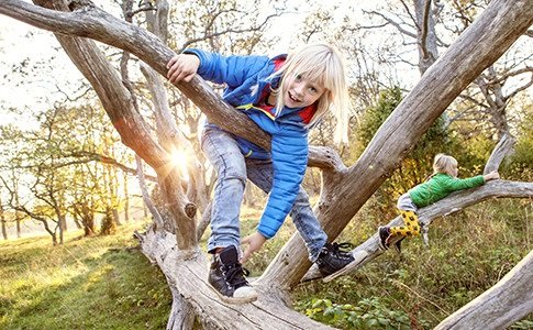 Девочка в джинсах сидит на дереве