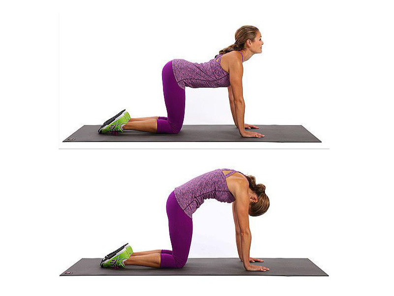 упражнение кошка беременная