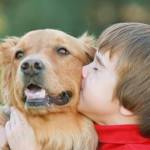Ребёнок и собака