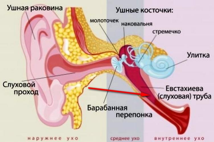 Причины развития отита у грудничков и новорождённых