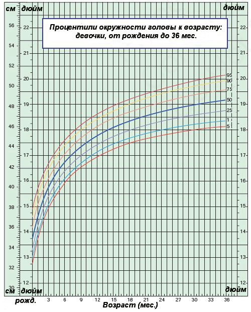 Процентили окружности головы к возрасту — девочки от 0 до 36 месяцев