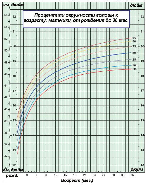 Процентили окружности головы к возрасту — мальчики от 0 до 36 месяцев