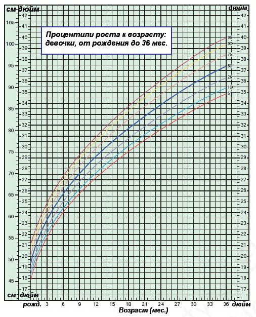 Процентили роста к возрасту — девочки от 0 до 36 месяцев