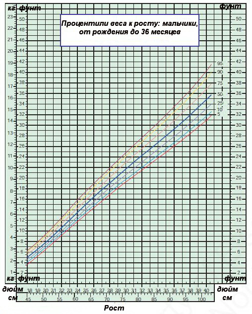 Процентили веса к росту — мальчики от 0 до 36 месяцев