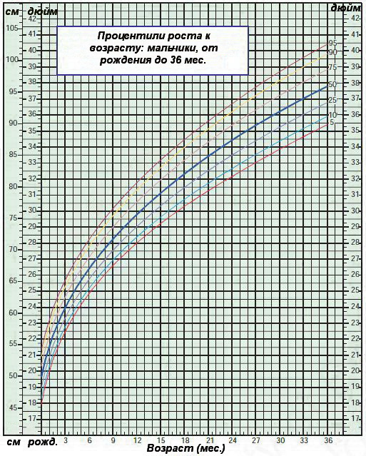 Процентили роста к возрасту — мальчики от 0 до 36 месяцев