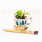 Растущий карандаш