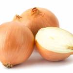 репчатый лук
